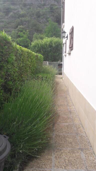 Jolie Maison Avec Jardin Villa Villefranche-de-Conflent Ngoại thất bức ảnh